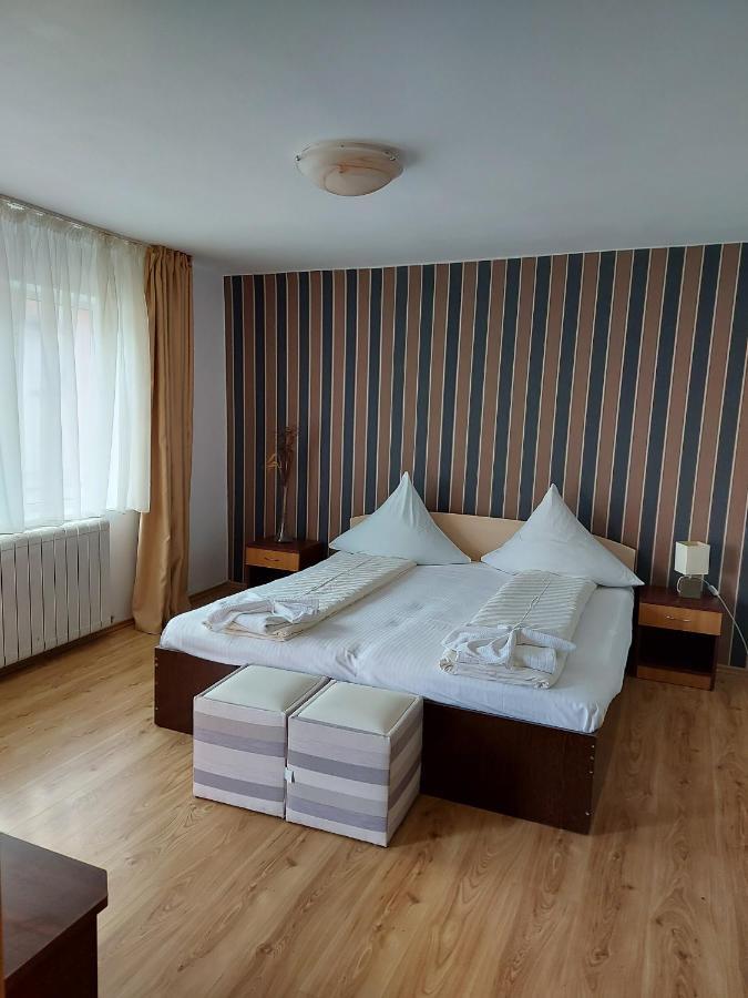 Pensiunea Gheorghita Haţeg Exterior foto