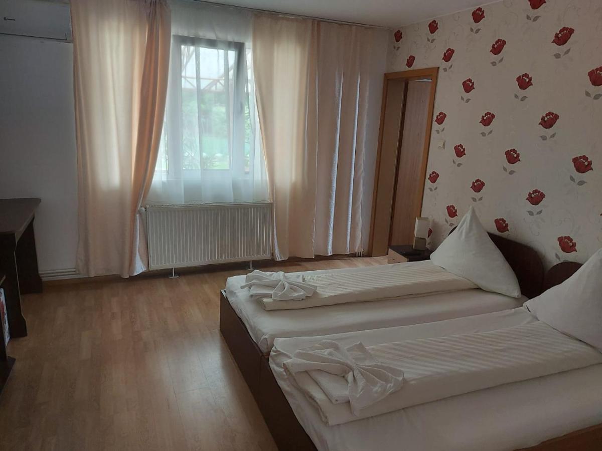 Pensiunea Gheorghita Haţeg Exterior foto