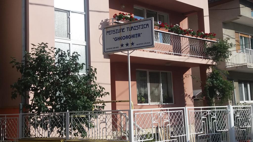 Pensiunea Gheorghita Haţeg Exterior foto
